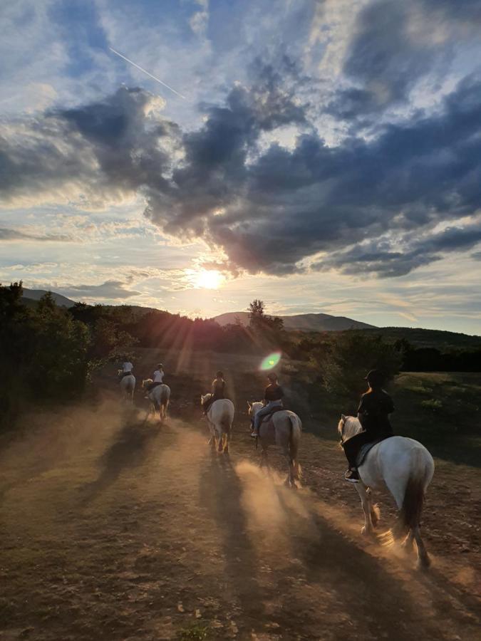 Ranch Terra Hotel Irinovac Buitenkant foto