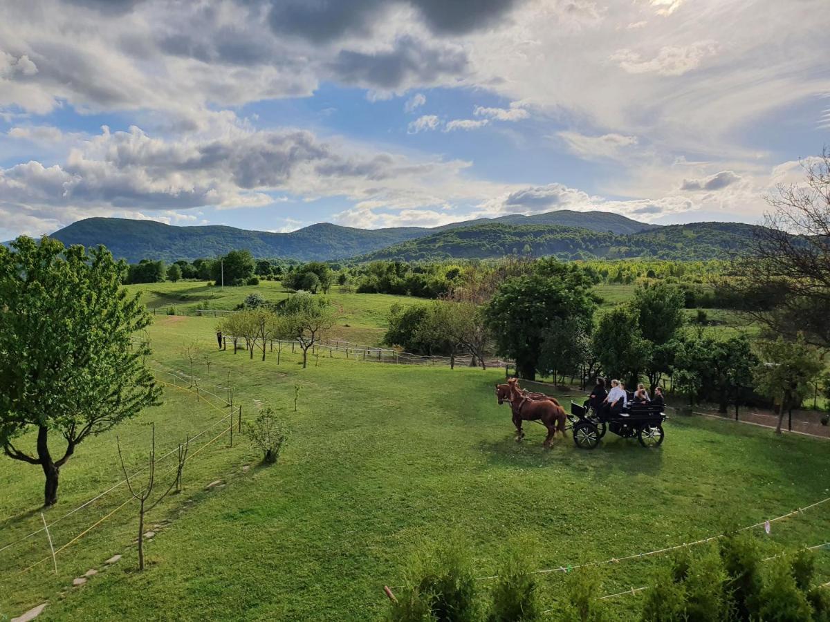 Ranch Terra Hotel Irinovac Buitenkant foto