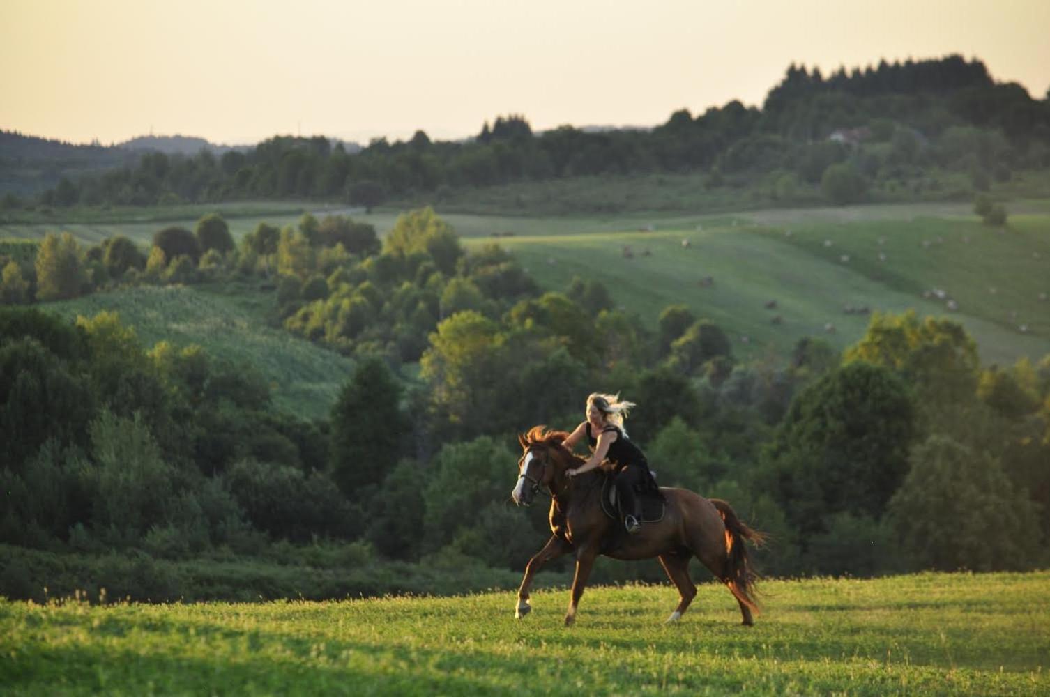 Ranch Terra Hotel Irinovac Buitenkant foto