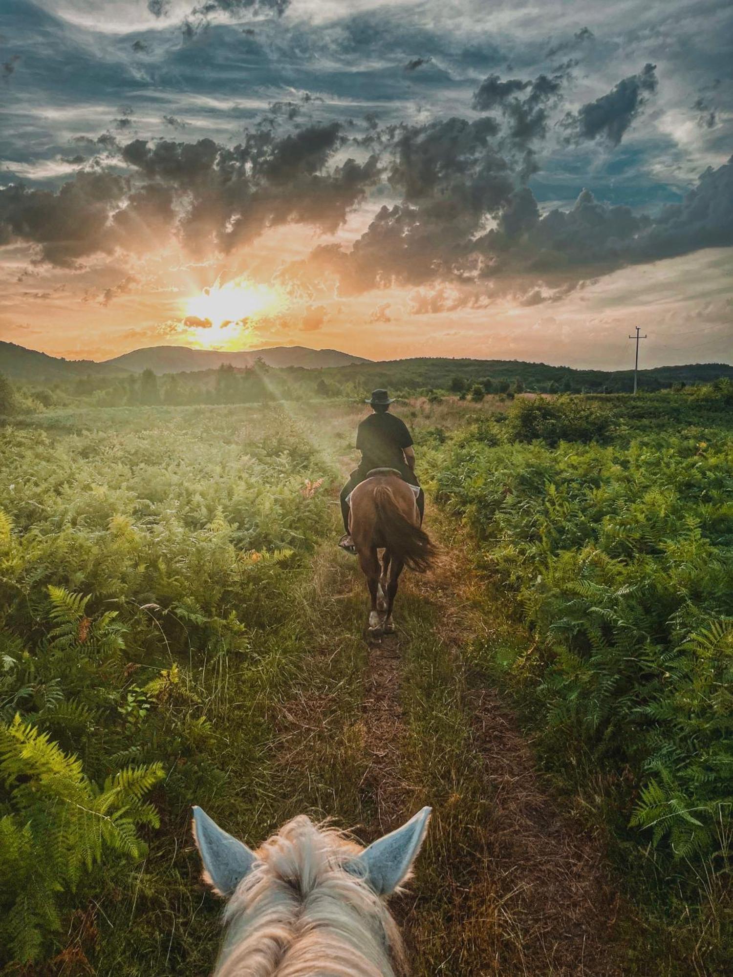 Ranch Terra Hotel Irinovac Buitenkant foto