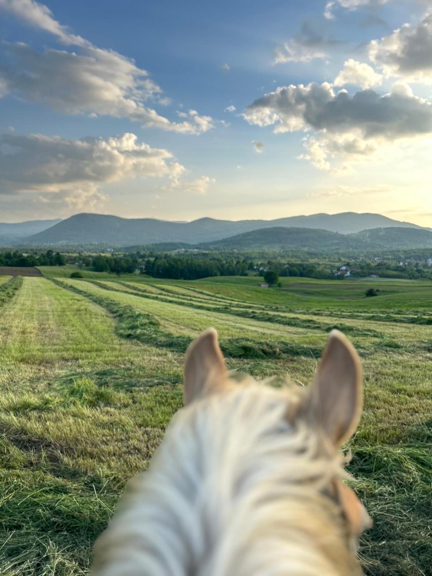 Ranch Terra Hotel Irinovac Buitenkant foto