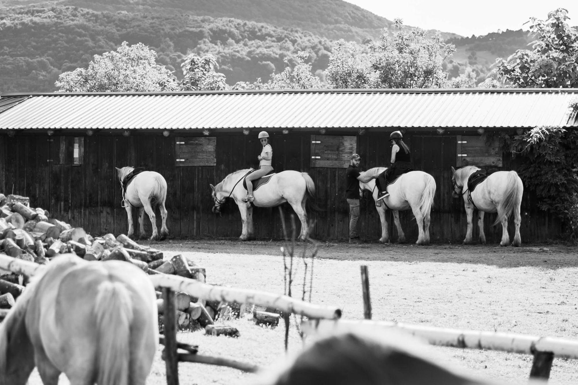 Ranch Terra Hotel Irinovac Buitenkant foto