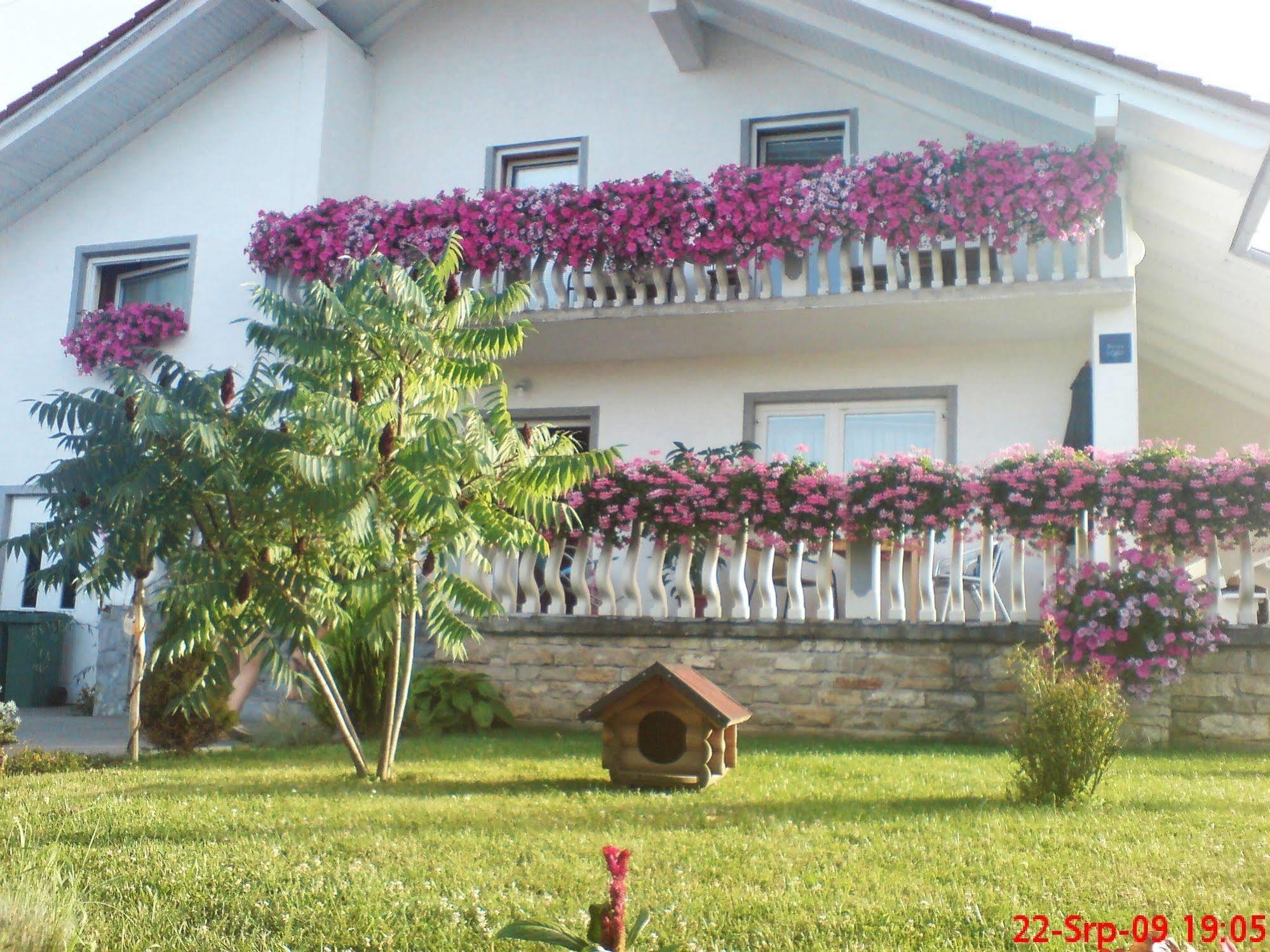 Ranch Terra Hotel Irinovac Buitenkant foto