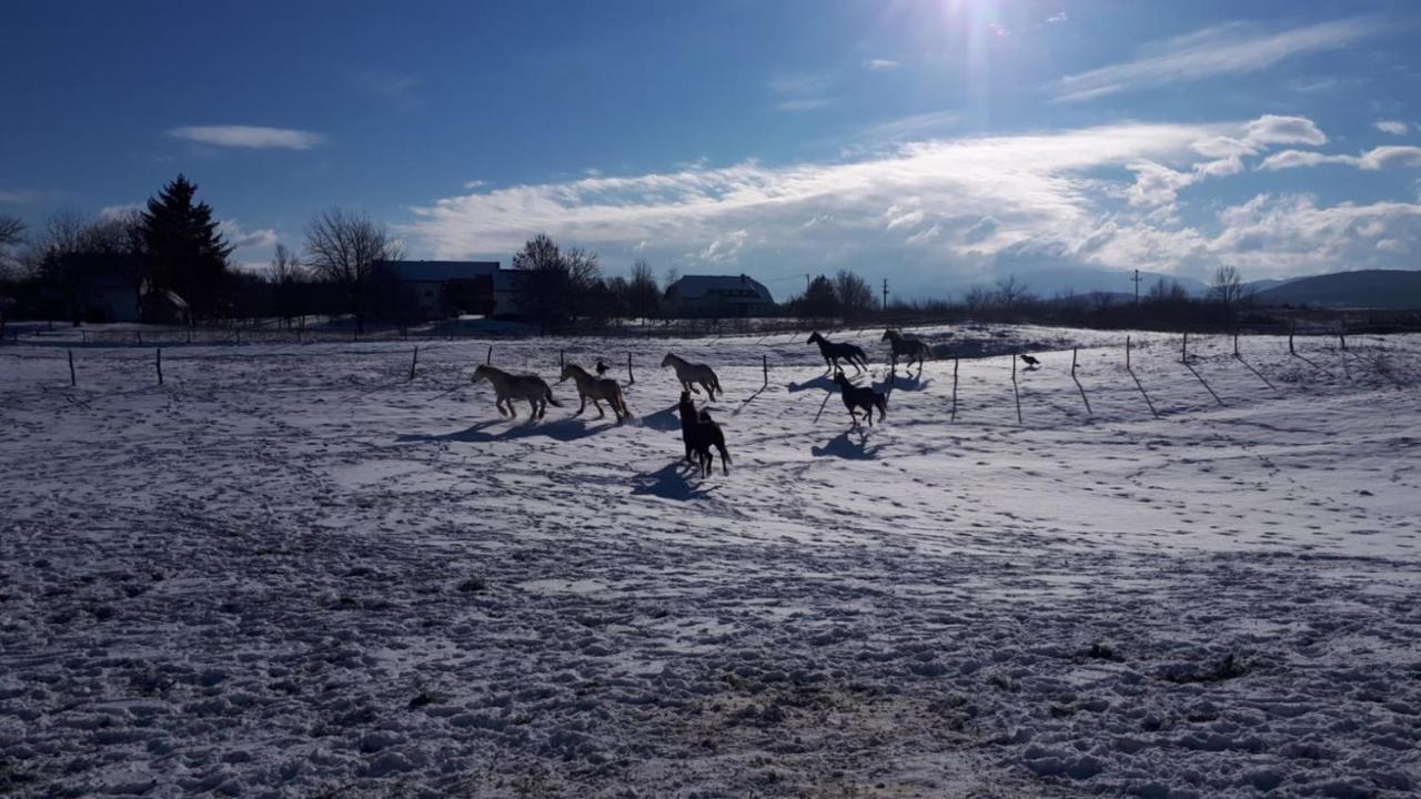 Ranch Terra Hotel Irinovac Buitenkant foto