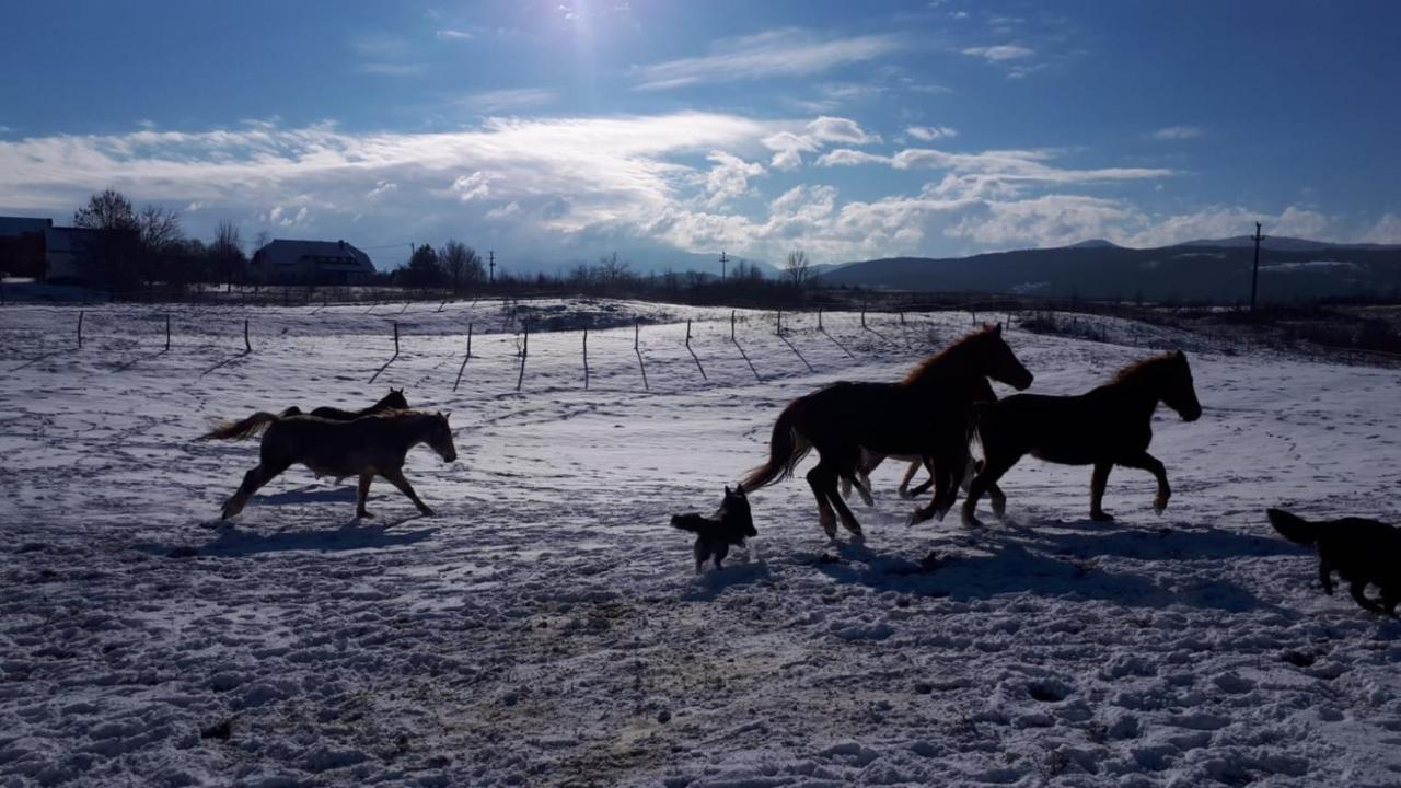 Ranch Terra Hotel Irinovac Buitenkant foto