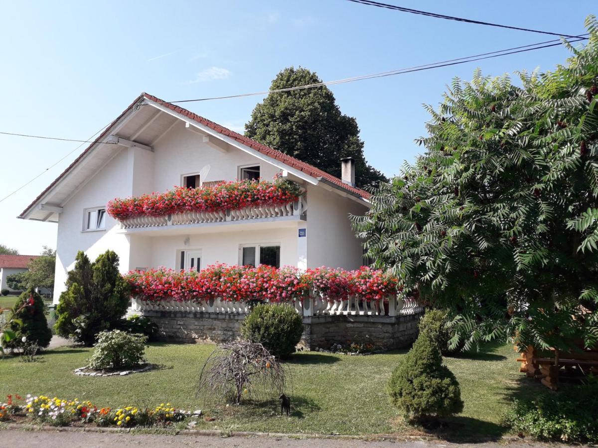 Ranch Terra Hotel Irinovac Buitenkant foto