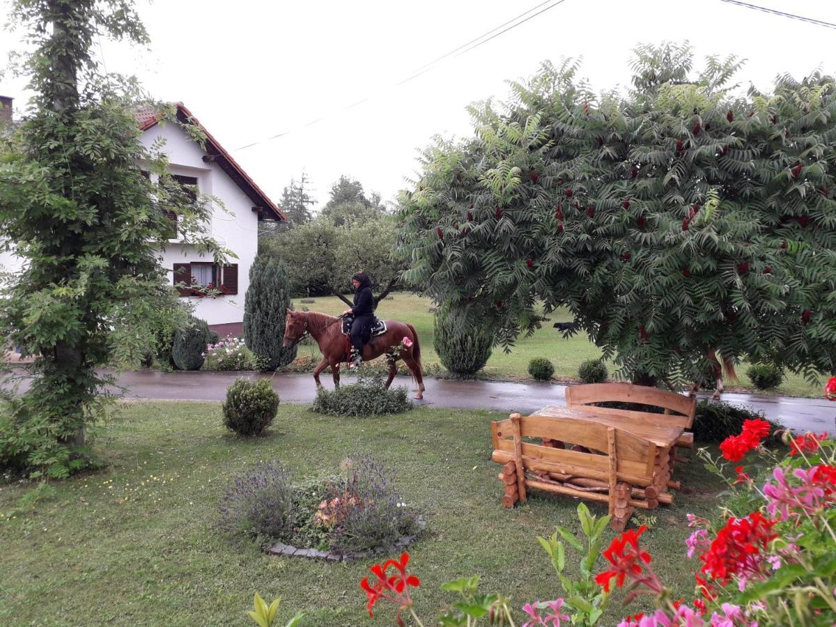Ranch Terra Hotel Irinovac Buitenkant foto